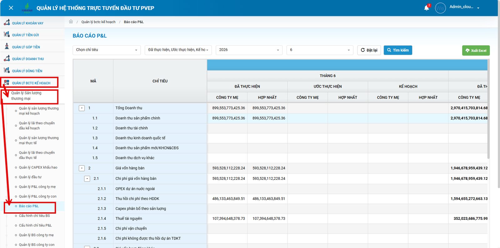 Báo cáo P&L công ty mẹ và hợp nhất